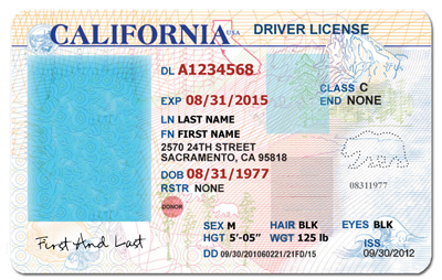 drivers license templates